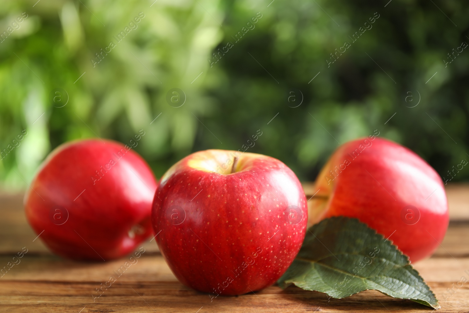 Photo of Fresh ripe red apples and leaf on wooden table against blurred background. Space for text