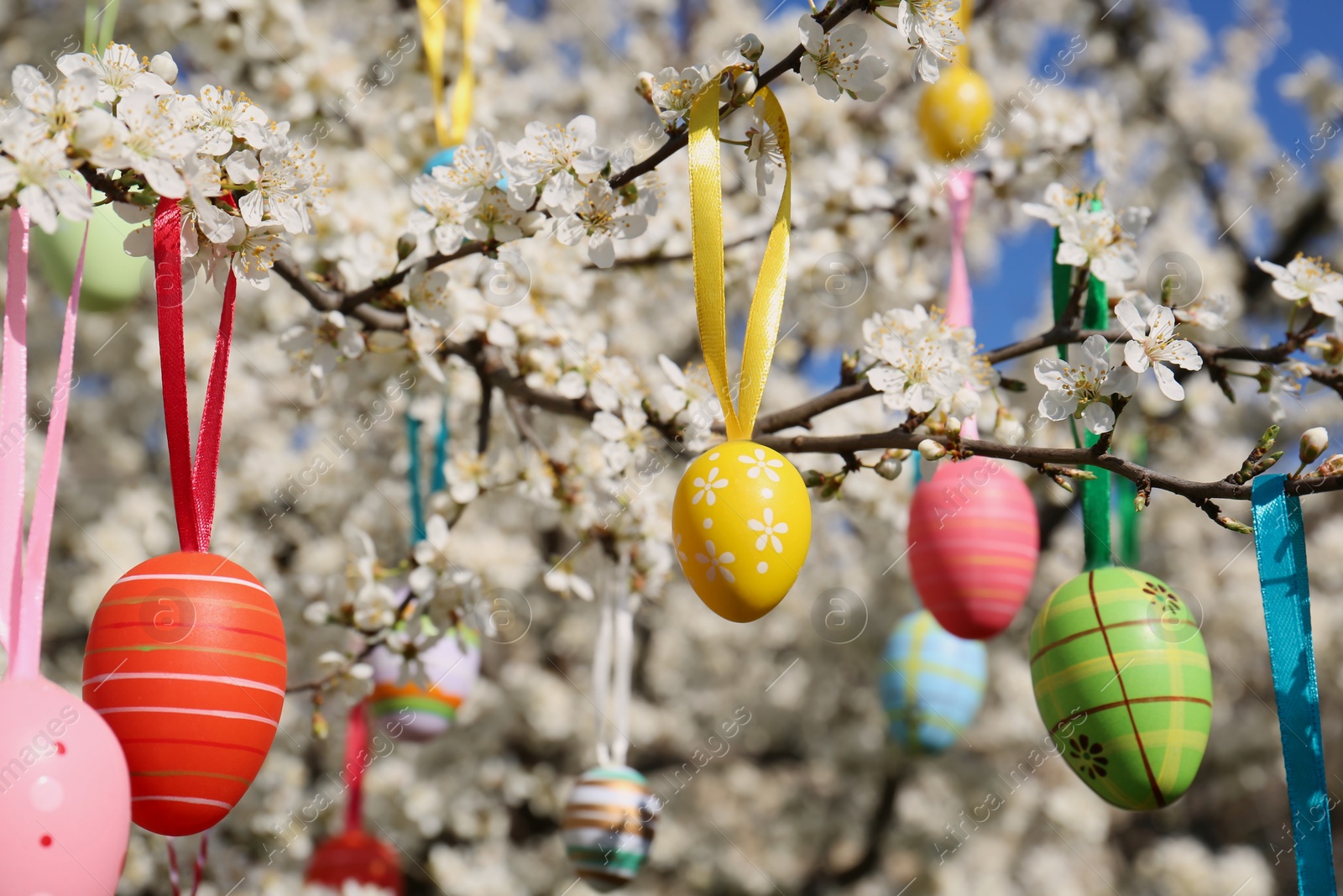 Photo of Beautifully painted Easter eggs hanging on blooming cherry tree outdoors