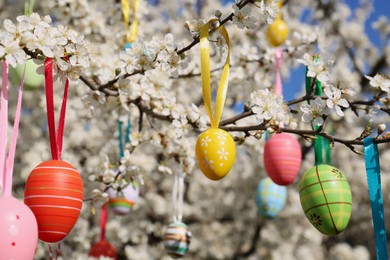 Beautifully painted Easter eggs hanging on blooming cherry tree outdoors