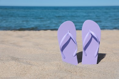 Stylish violet flip flops on beach sand, space for text