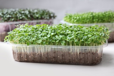 Photo of Fresh organic microgreen in plastic containers on white table