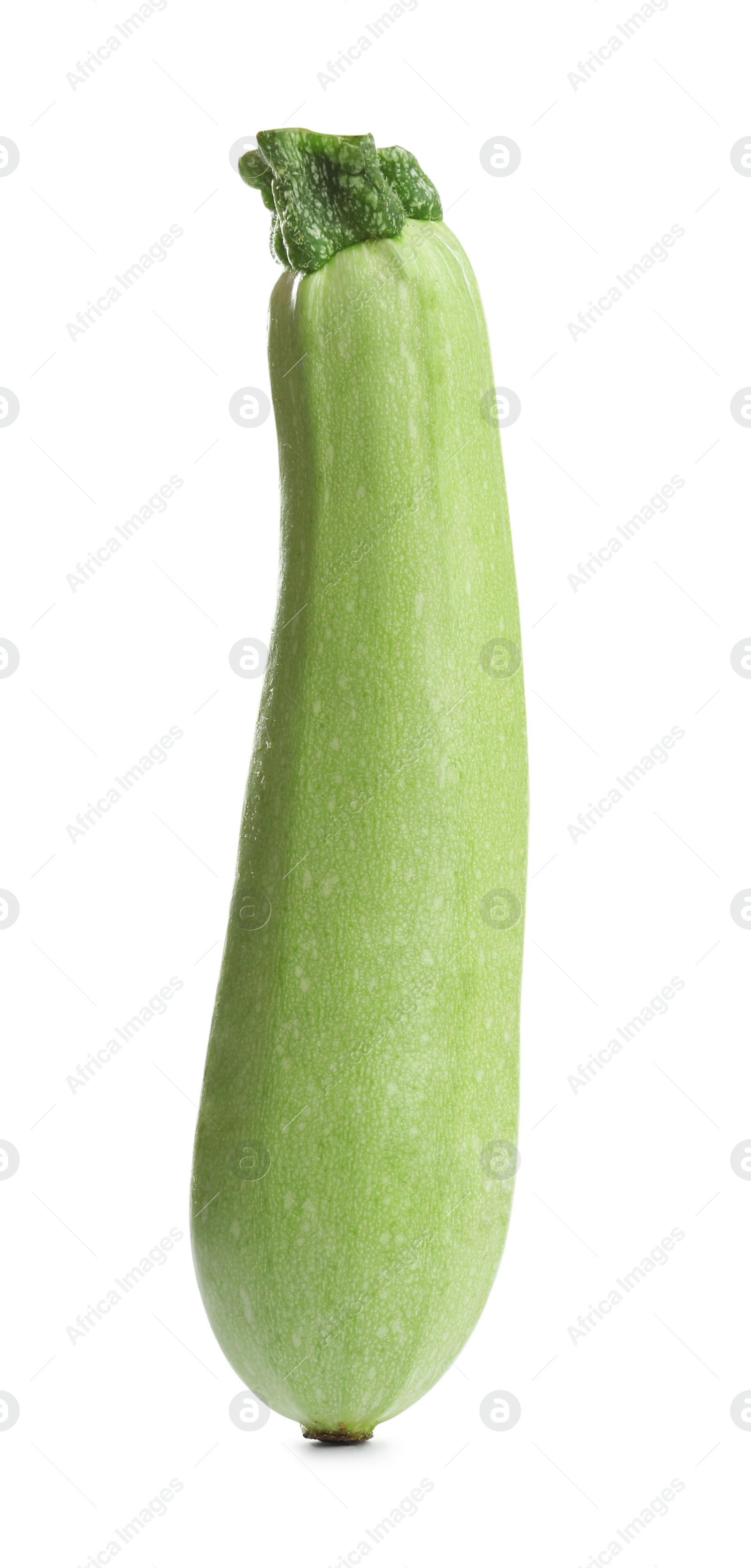 Photo of Fresh ripe green zucchini isolated on white