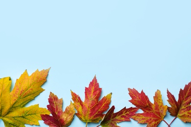 Colorful autumn leaves on light blue background, flat lay. Space for text