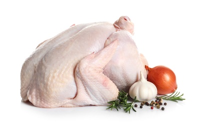 Raw turkey with ingredients on white background