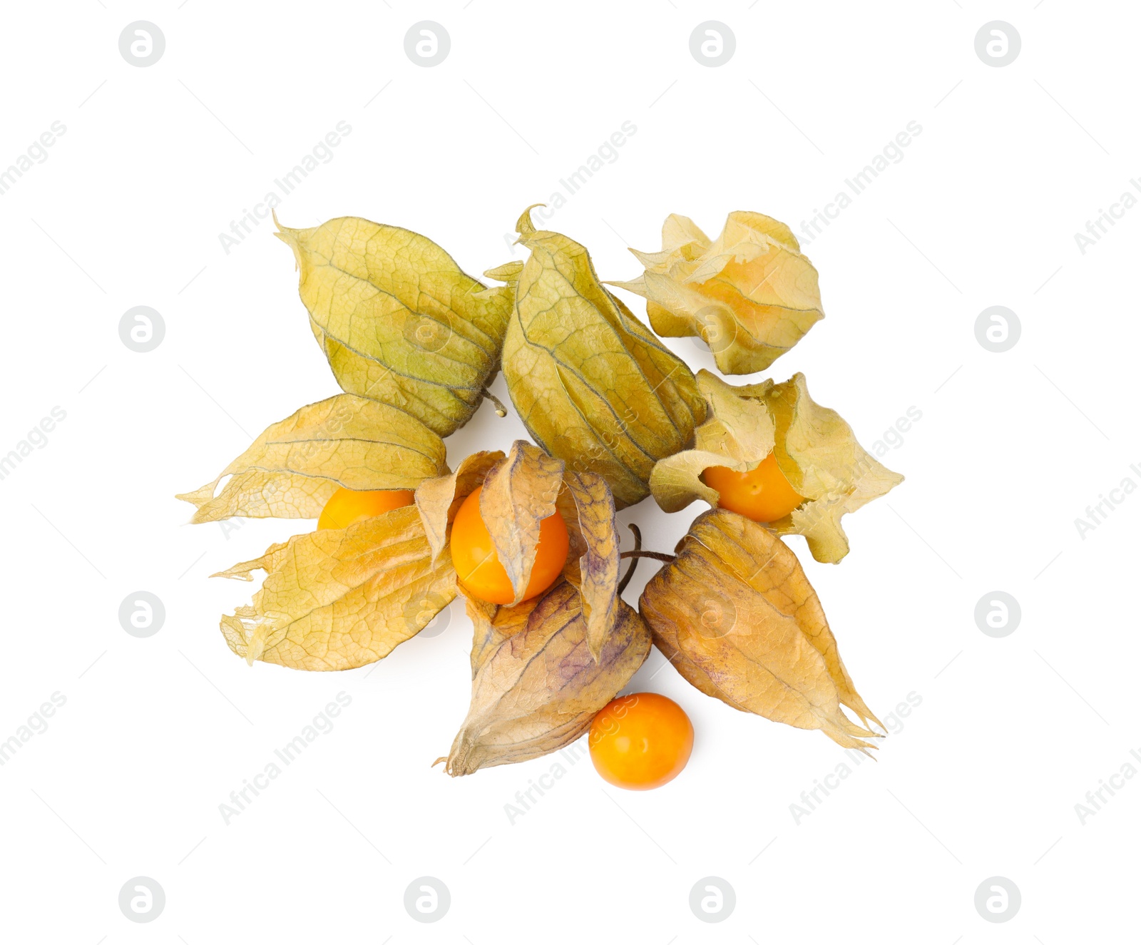 Photo of Many ripe physalis fruits with calyxes isolated on white, top view