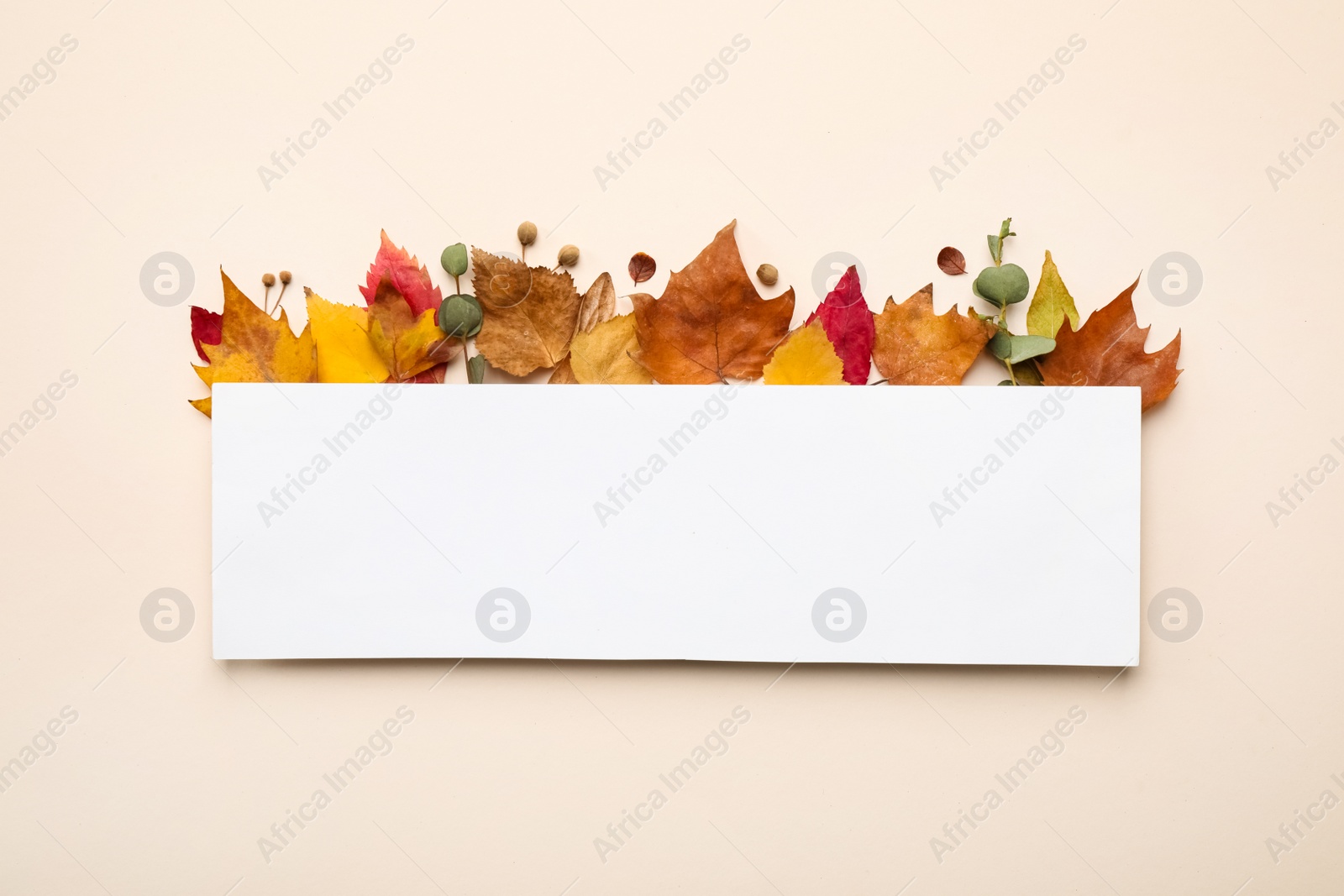 Photo of Flat lay composition with autumn leaves and blank card on light background, space for text