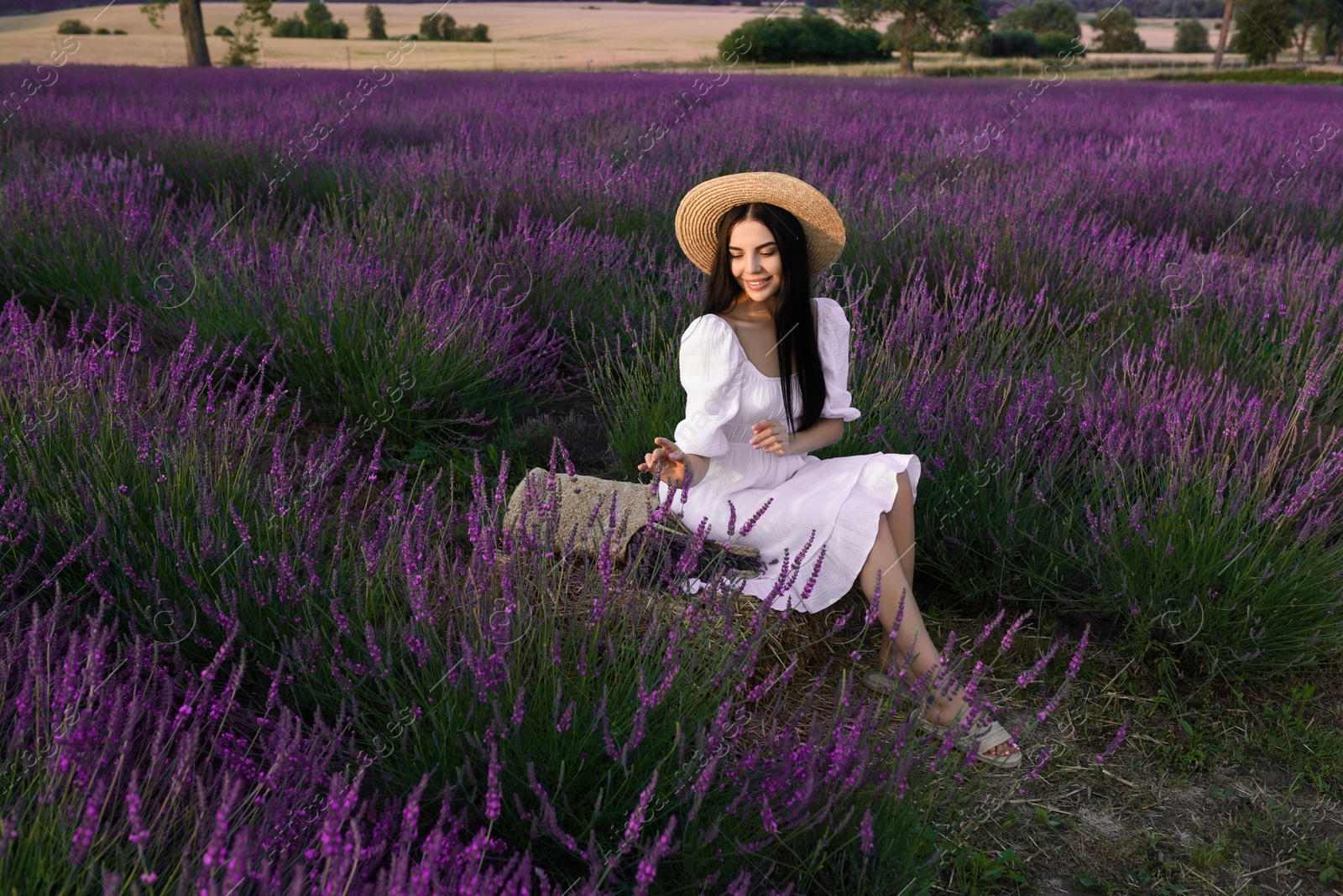 Photo of Beautiful young woman sitting in lavender field