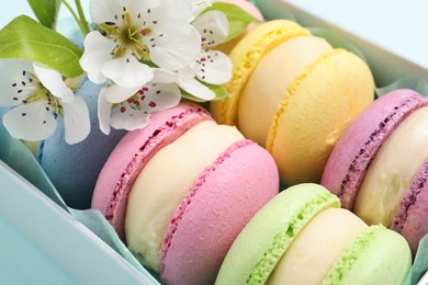 Many delicious colorful macarons in box and flowers on light blue background, closeup