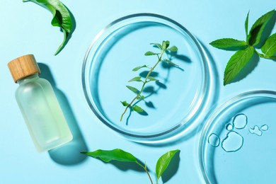 Flat lay composition with Petri dishes and plants on light blue background
