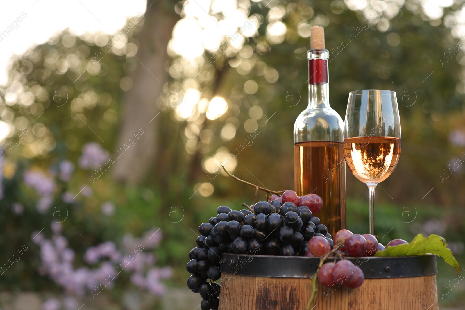 Photo of Delicious wine and ripe grapes on wooden barrel outdoors, space for text