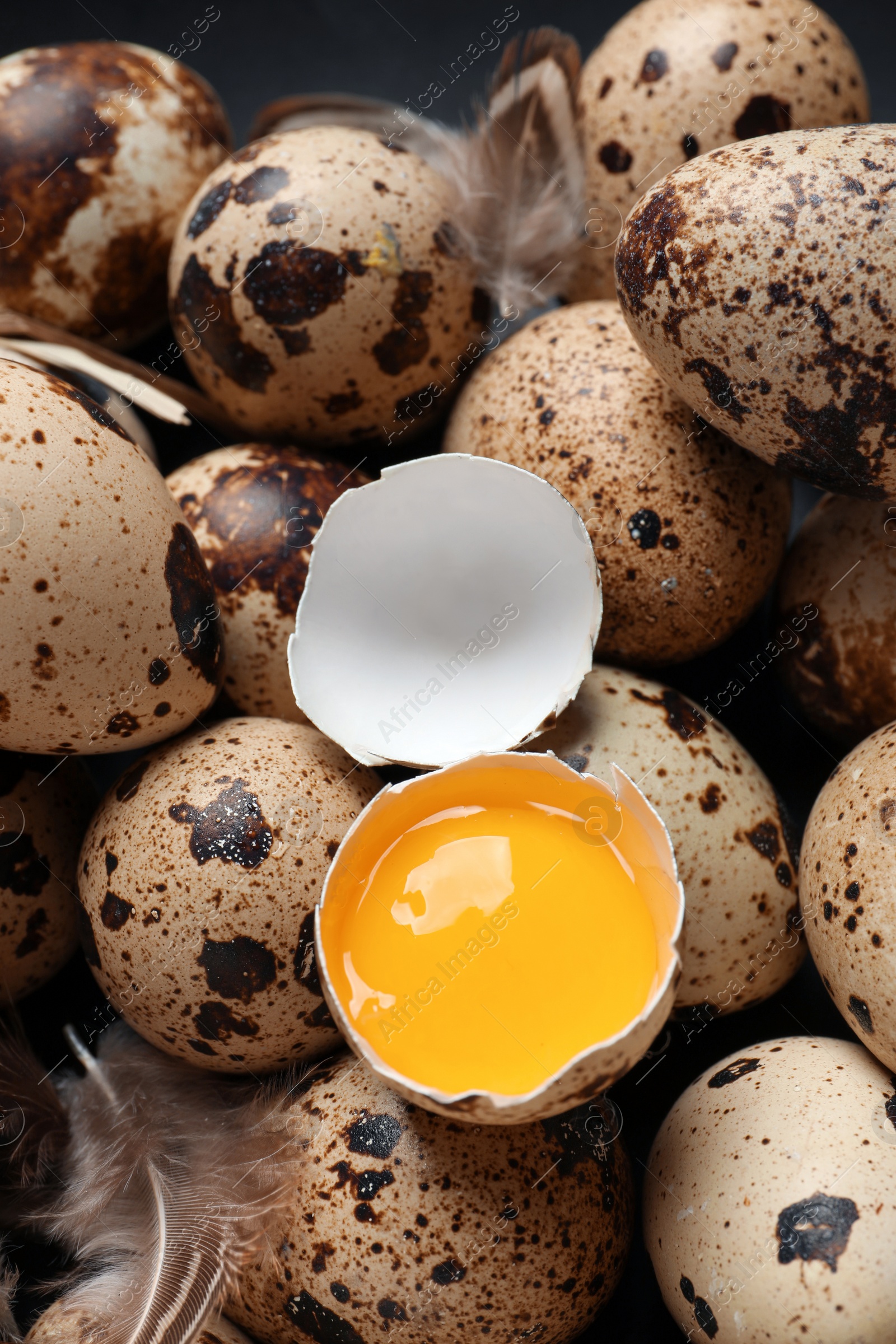 Photo of Fresh raw quail eggs and feathers on plate, closeup