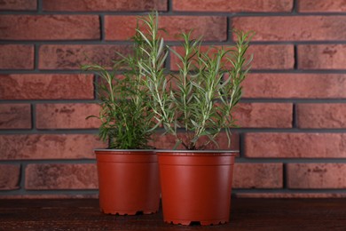 Photo of Beautiful green potted rosemary on wooden table near brick wall