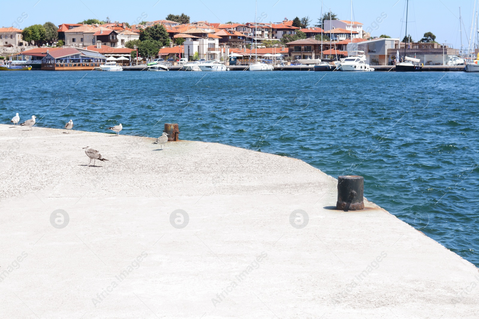 Photo of Beautiful view of city pier with seagulls on sunny day