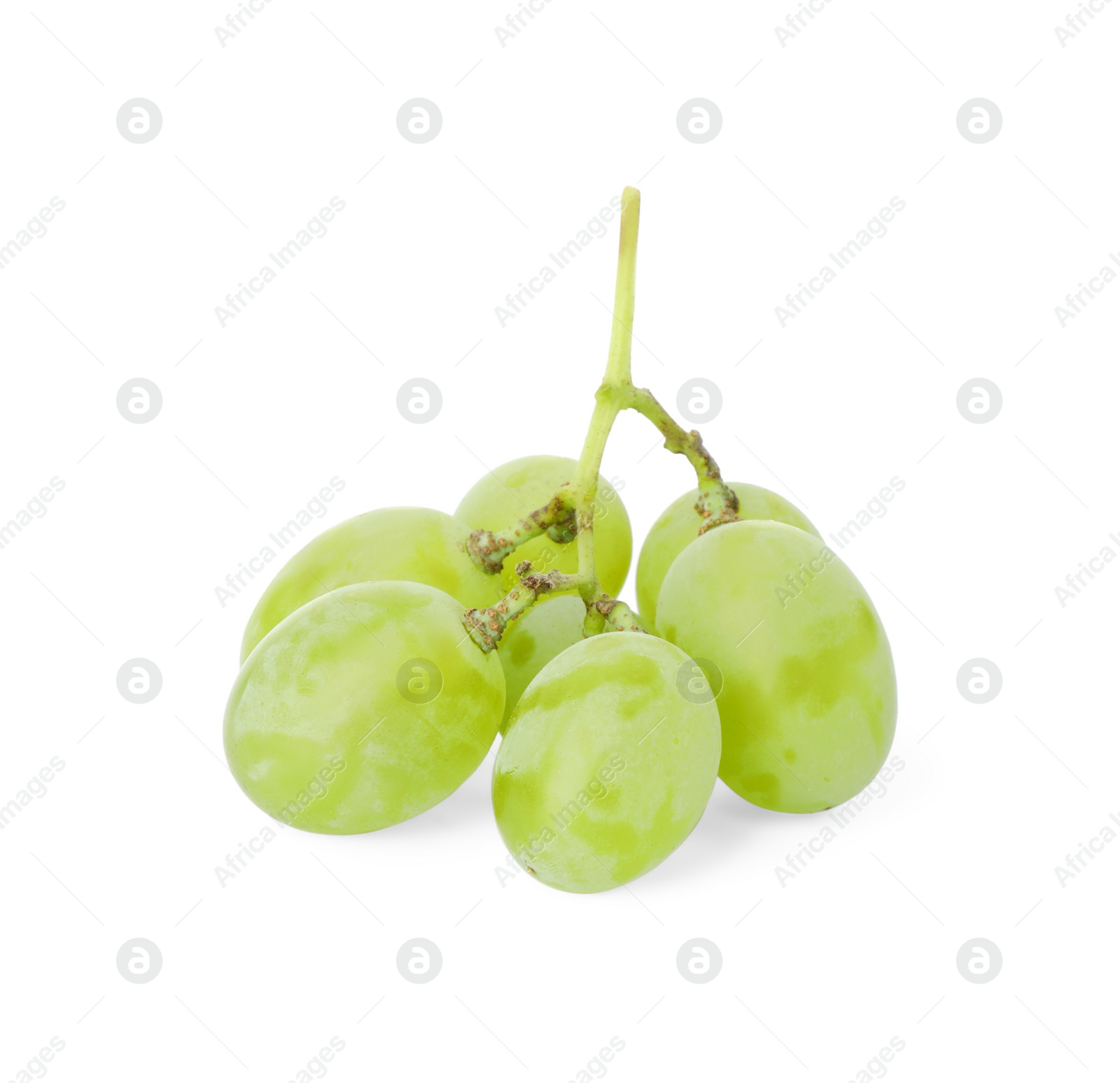 Photo of Fresh ripe juicy grapes isolated on white