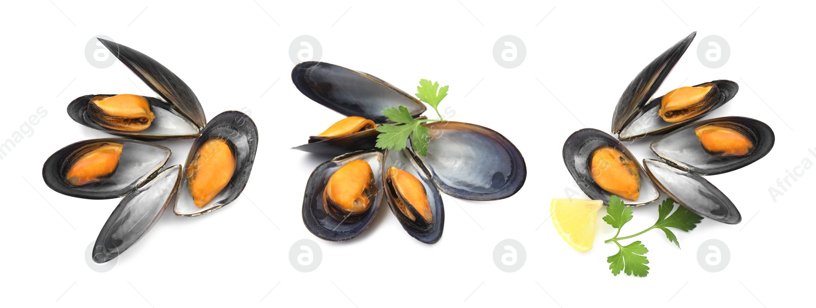 Image of Set with tasty cooked mussels on white background, top view. Banner design