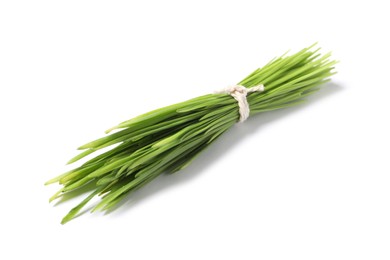 Sprouts of wheat grass isolated on white