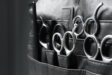 Hairdresser tools. Professional scissors and combs in leather organizer on blurred background, closeup. Space for text