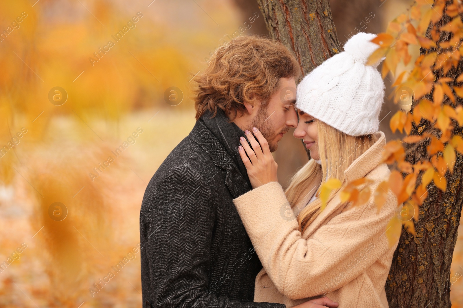 Photo of Young romantic couple in park on autumn day