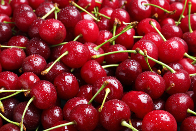 Photo of Sweet red cherries with water drops as background, closeup