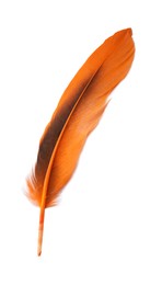 Photo of Beautiful orange bird feather isolated on white, top view