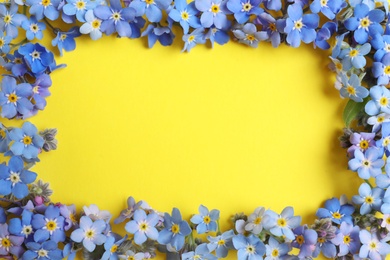 Frame made of amazing forget-me-not flowers on color background, flat lay. Space for text