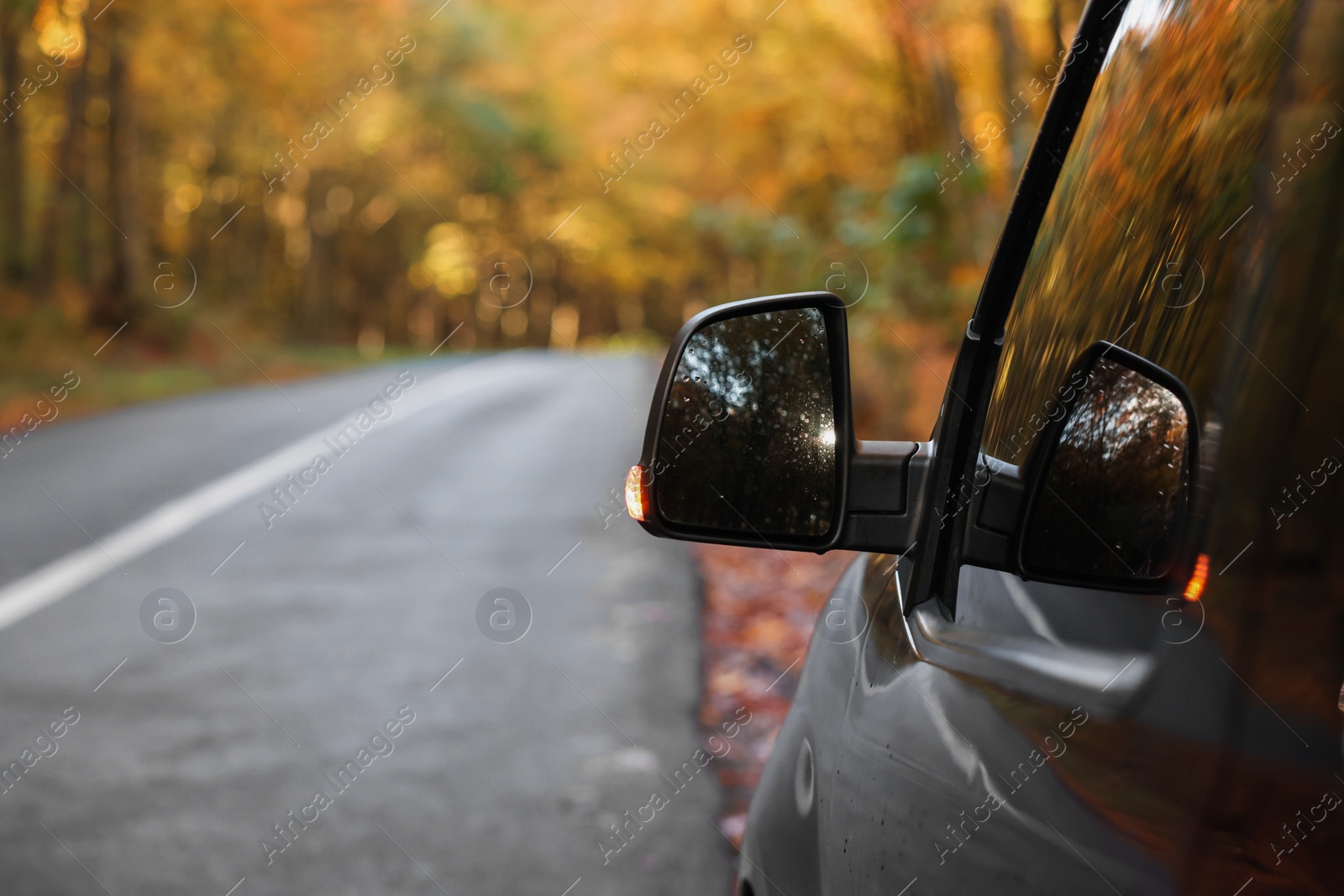 Photo of Modern car on asphalt road near autumn forest, closeup. Space for text