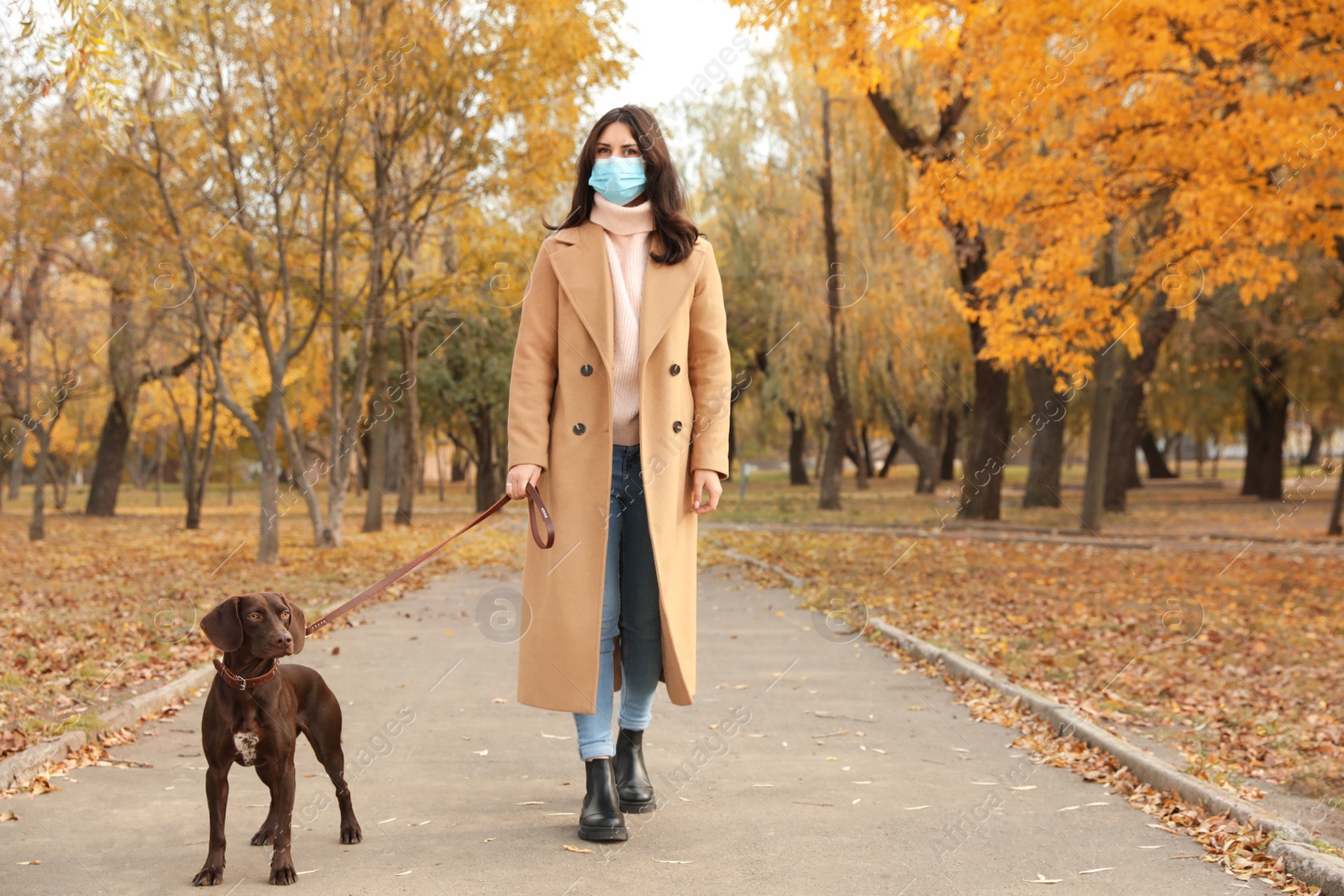 Photo of Woman in protective mask with German Shorthaired Pointer in park. Walking dog during COVID-19 pandemic