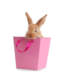 Photo of Adorable furry Easter bunny in gift paper bag on white background