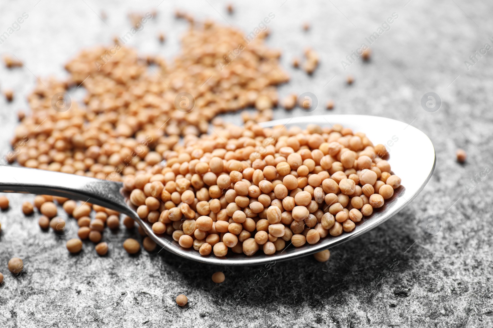 Photo of Mustard seeds in spoon on grey table, closeup