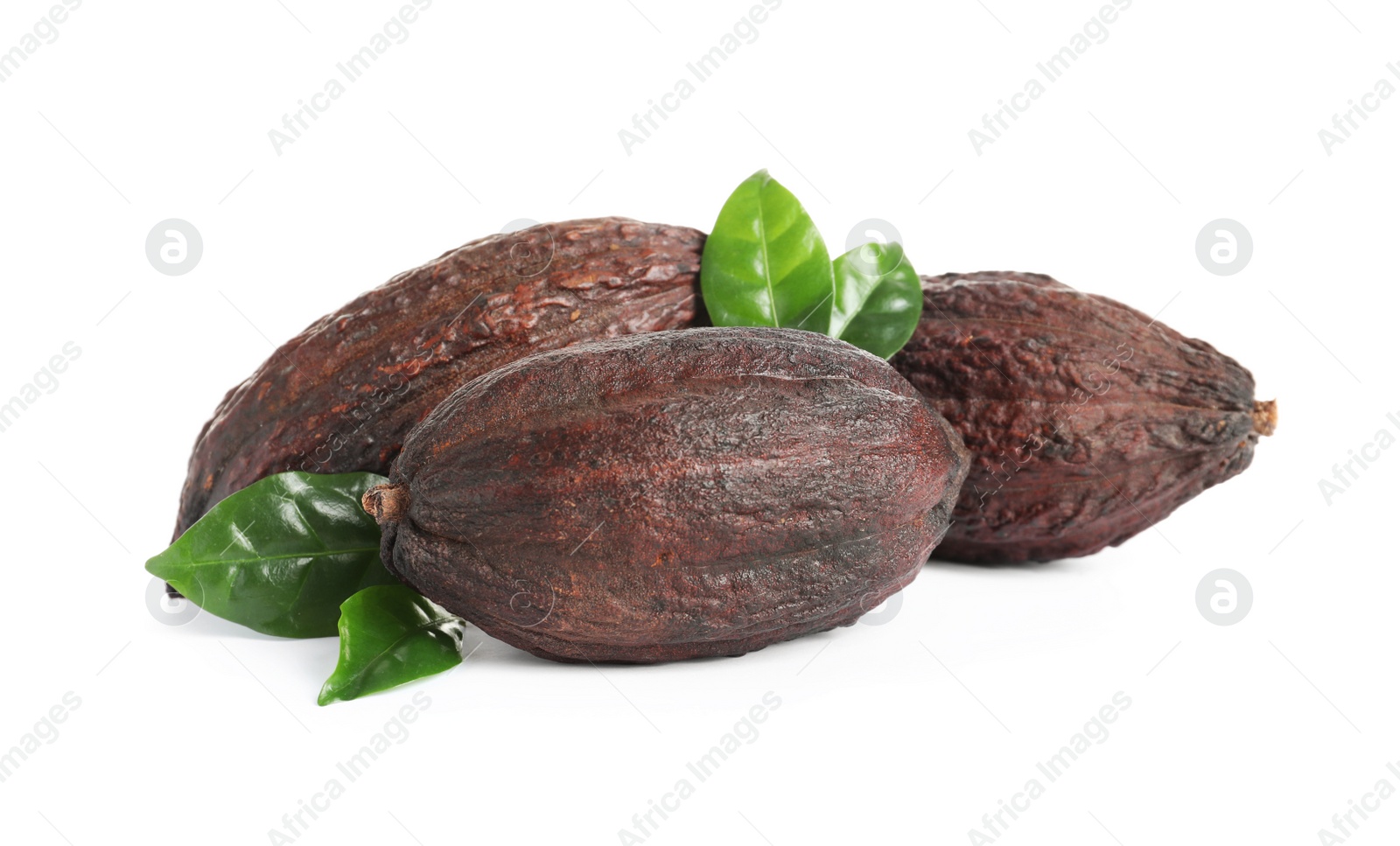 Photo of Cocoa pods and leaves on white background