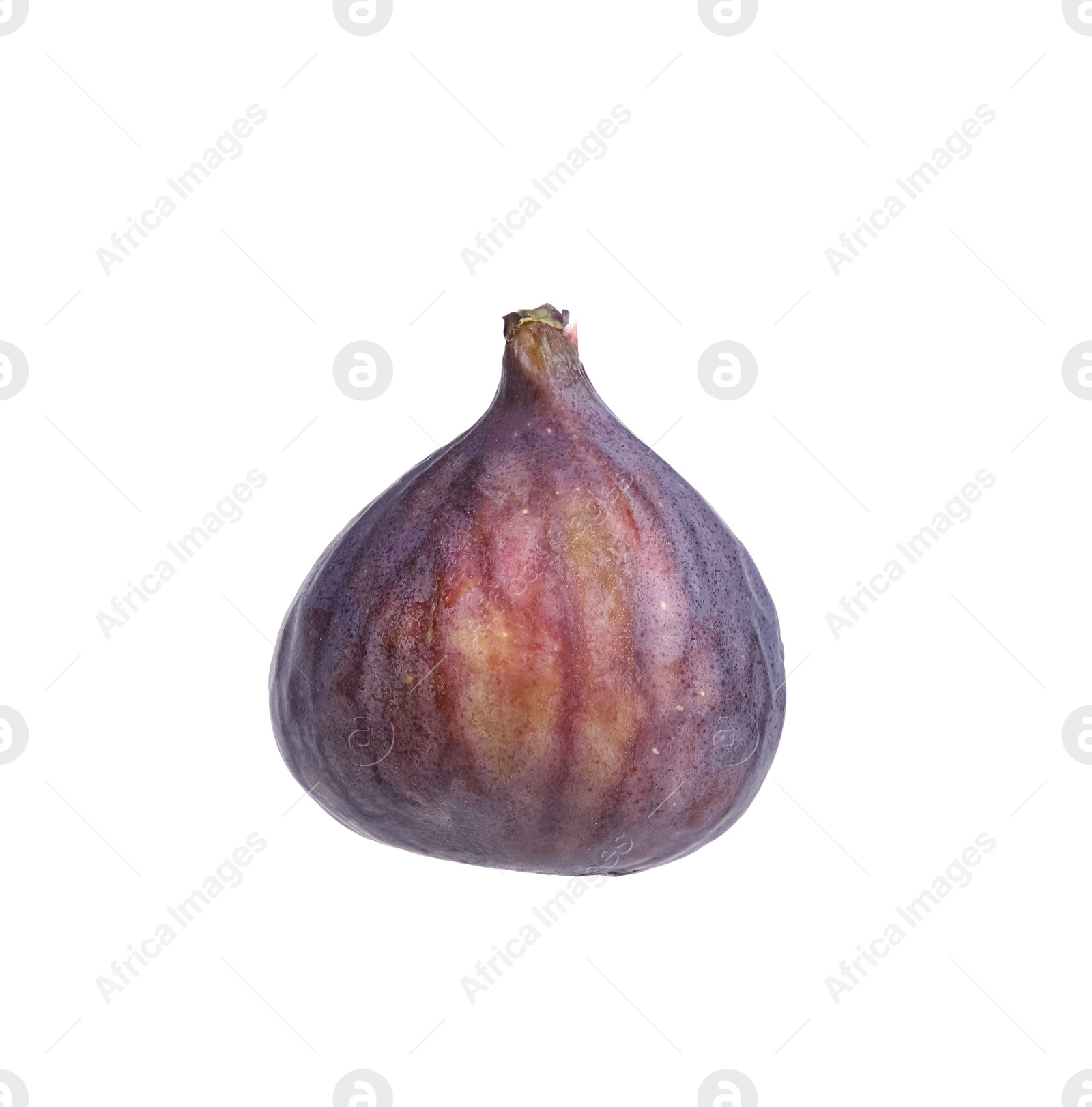 Photo of Whole ripe fresh fig isolated on white