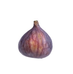 Photo of Whole ripe fresh fig isolated on white