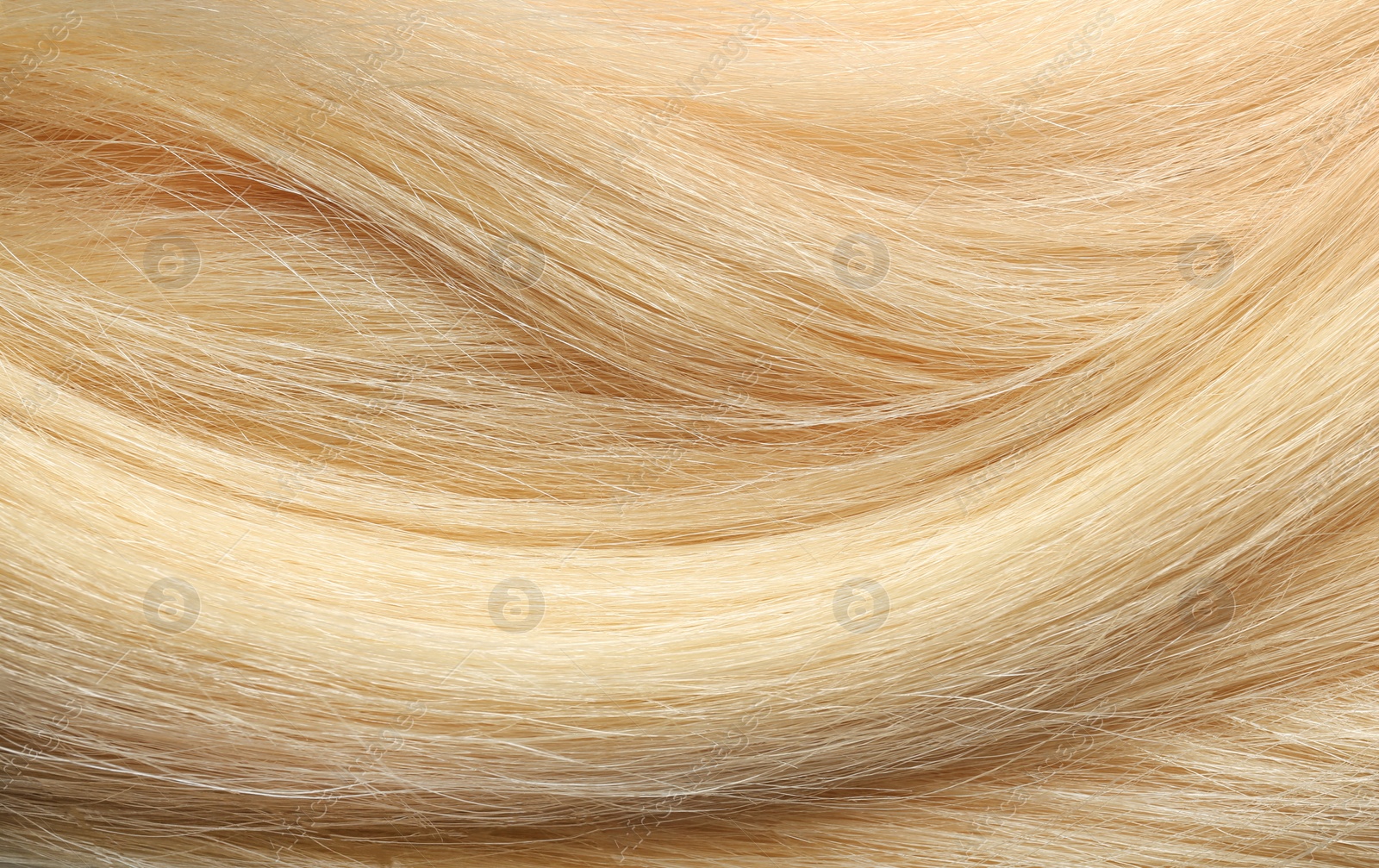 Photo of Texture of healthy blond hair as background, closeup