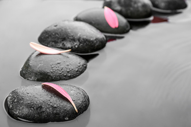 Photo of Stones and flower petals in water, closeup. Zen lifestyle