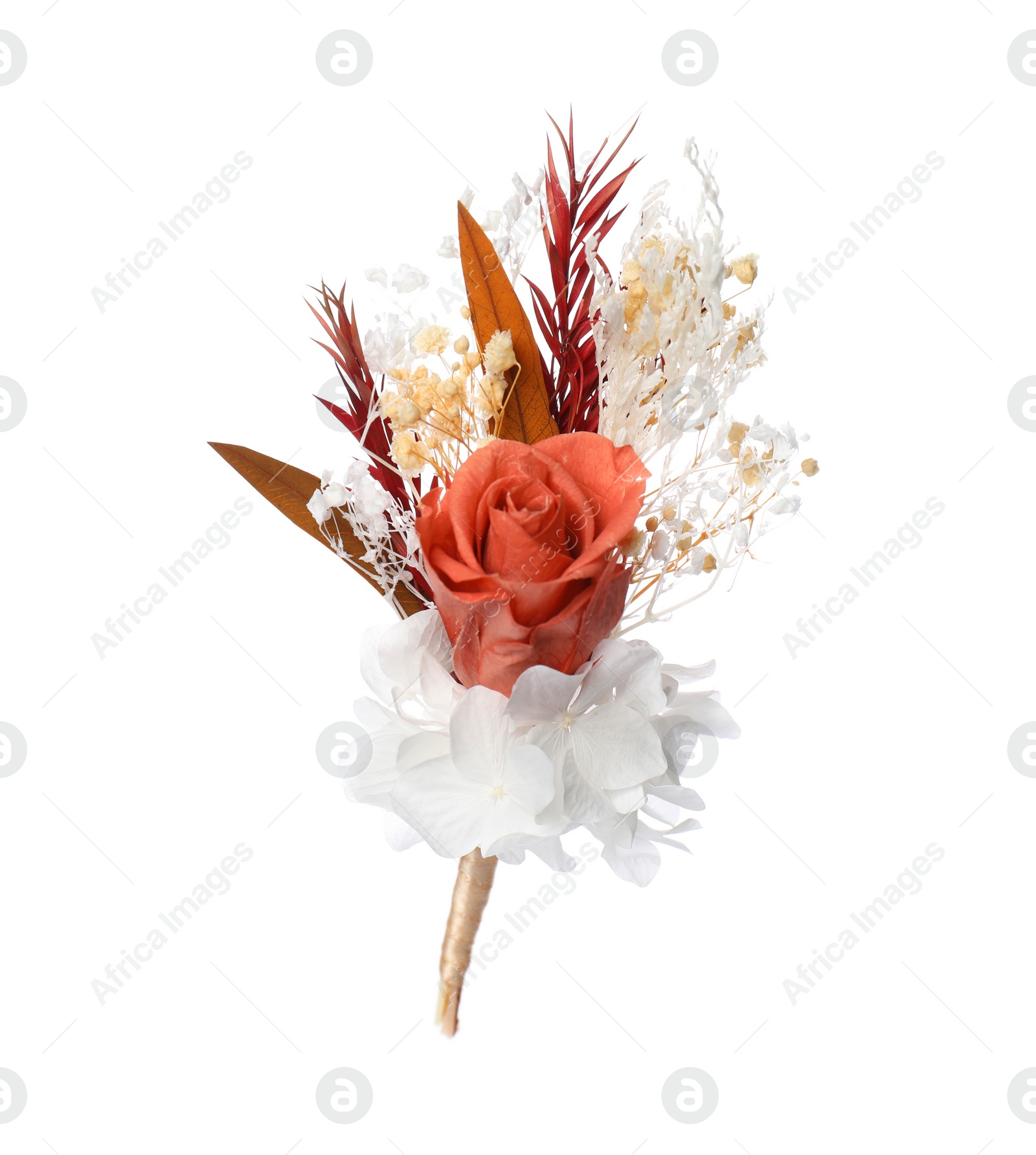 Photo of Boutonniere with beautiful rose isolated on white