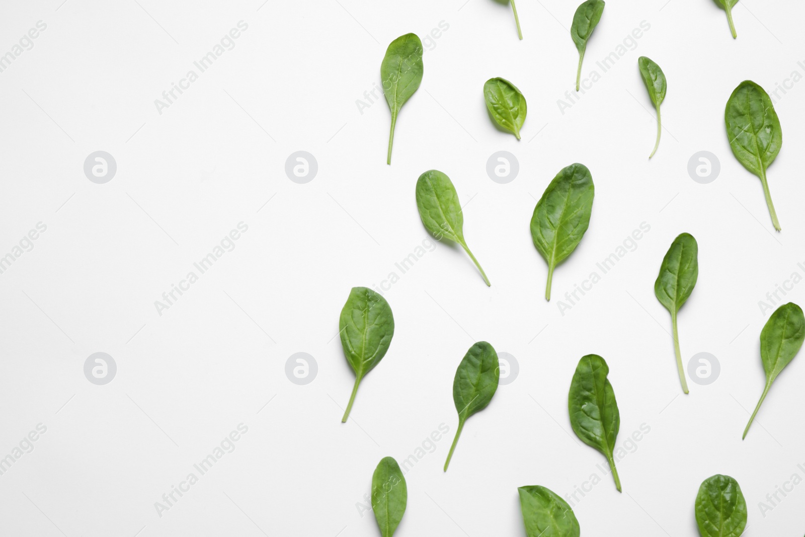 Photo of Fresh green healthy spinach on white background, top view