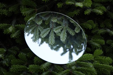 Photo of Round mirror among fir branches reflecting beautiful sky and twigs