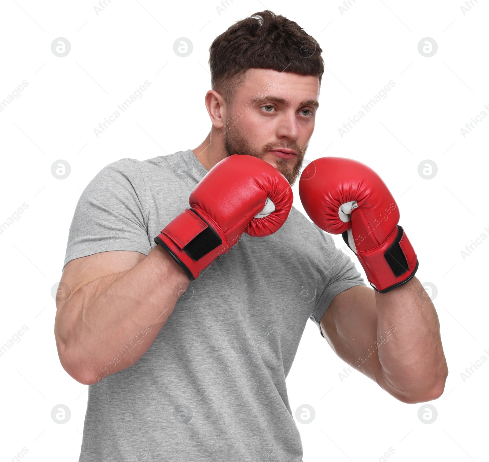 Photo of Man in boxing gloves on white background