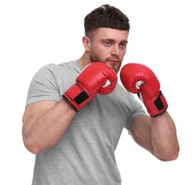 Man in boxing gloves on white background