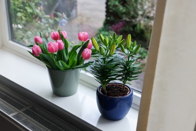 Photo of Beautiful potted lily and bouquet with pink tulips on white window sill indoors