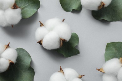 Cotton flowers and eucalyptus leaves on light grey background, flat lay