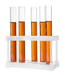 Photo of Test tubes with brown liquid in stand on white background