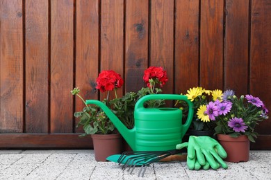 Photo of Beautiful flowers in pots, gardening tools and rubber gloves on pavement near wooden wall