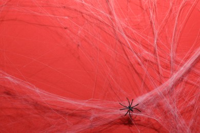 Cobweb and spider on red background, top view