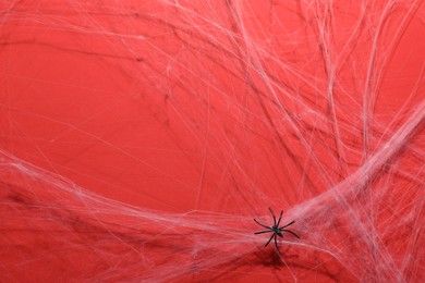 Photo of Cobweb and spider on red background, top view