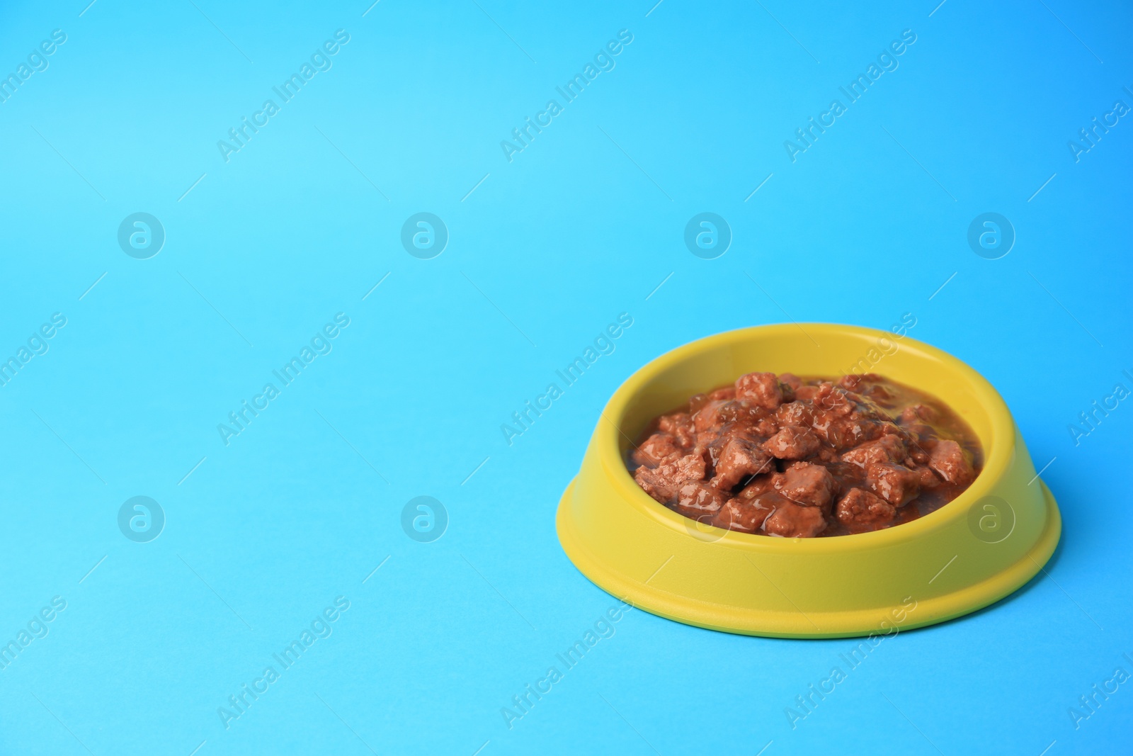 Photo of Wet pet food in feeding bowl on light blue background. Space for text