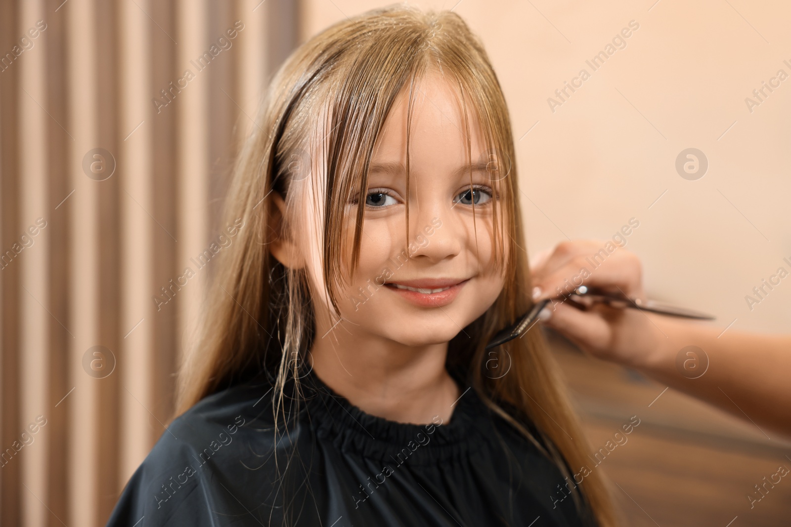 Photo of Professional hairdresser combing girl's hair in beauty salon