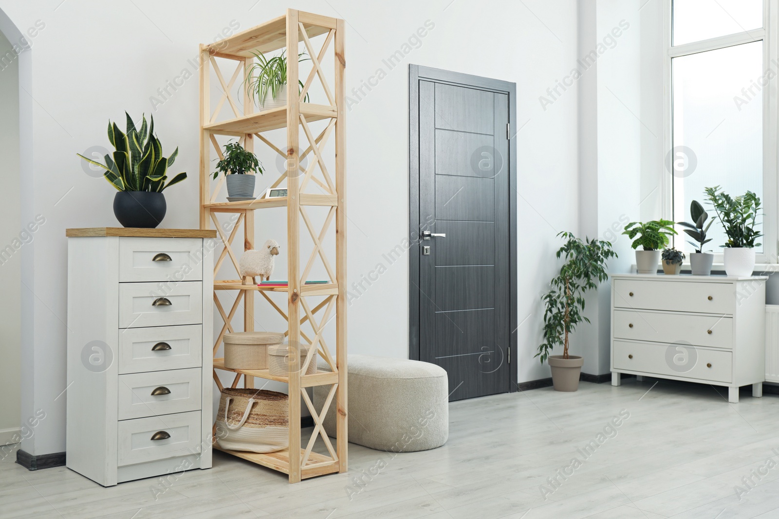 Photo of Stylish room interior with wooden furniture and beautiful green houseplants