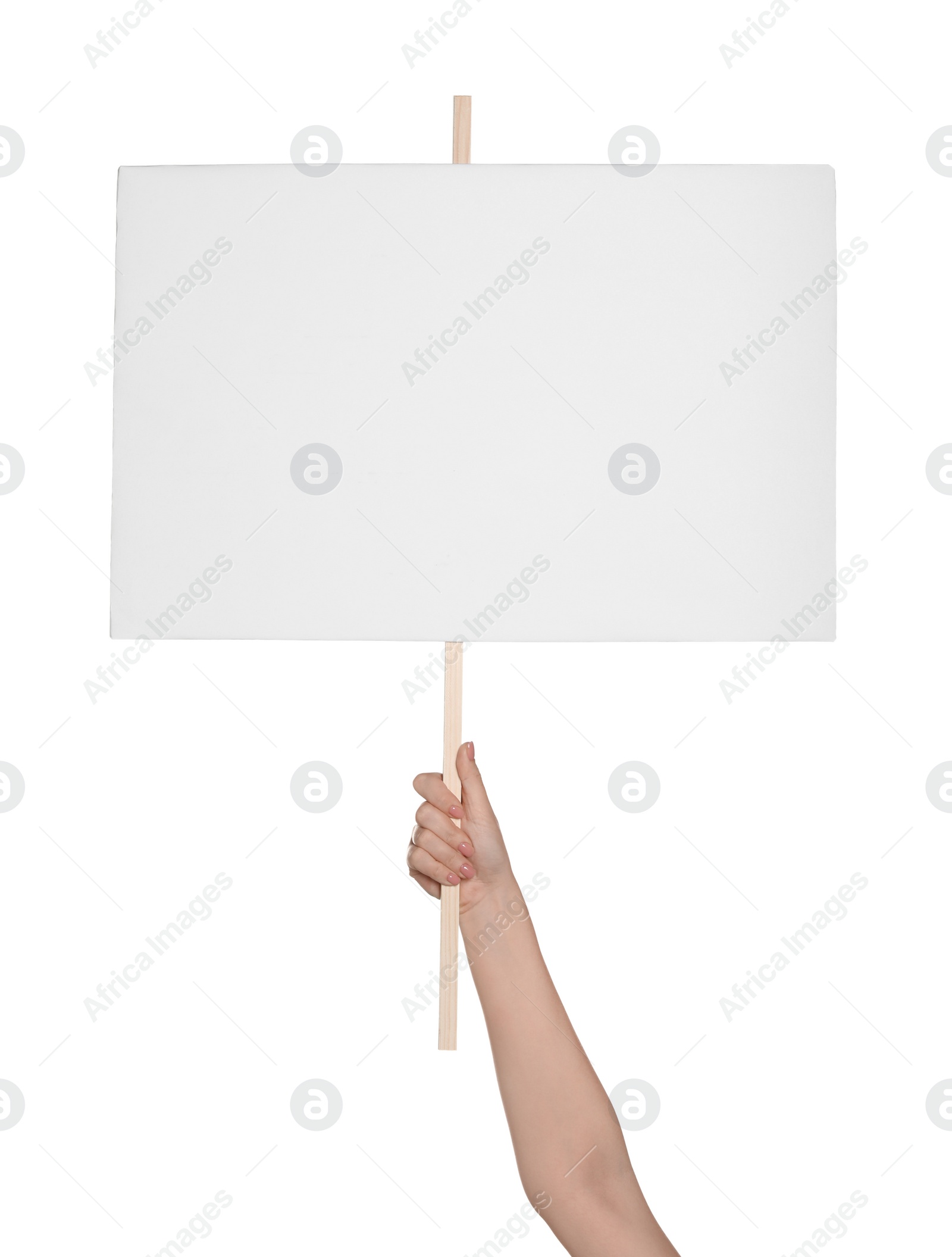 Photo of Woman holding blank protest sign on white background, closeup