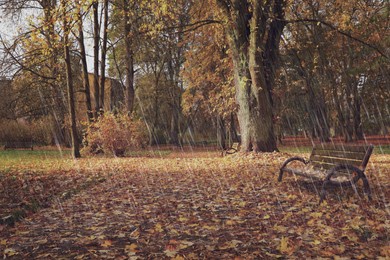 Image of Wooden benches and fallen autumn leaves in park on rainy day